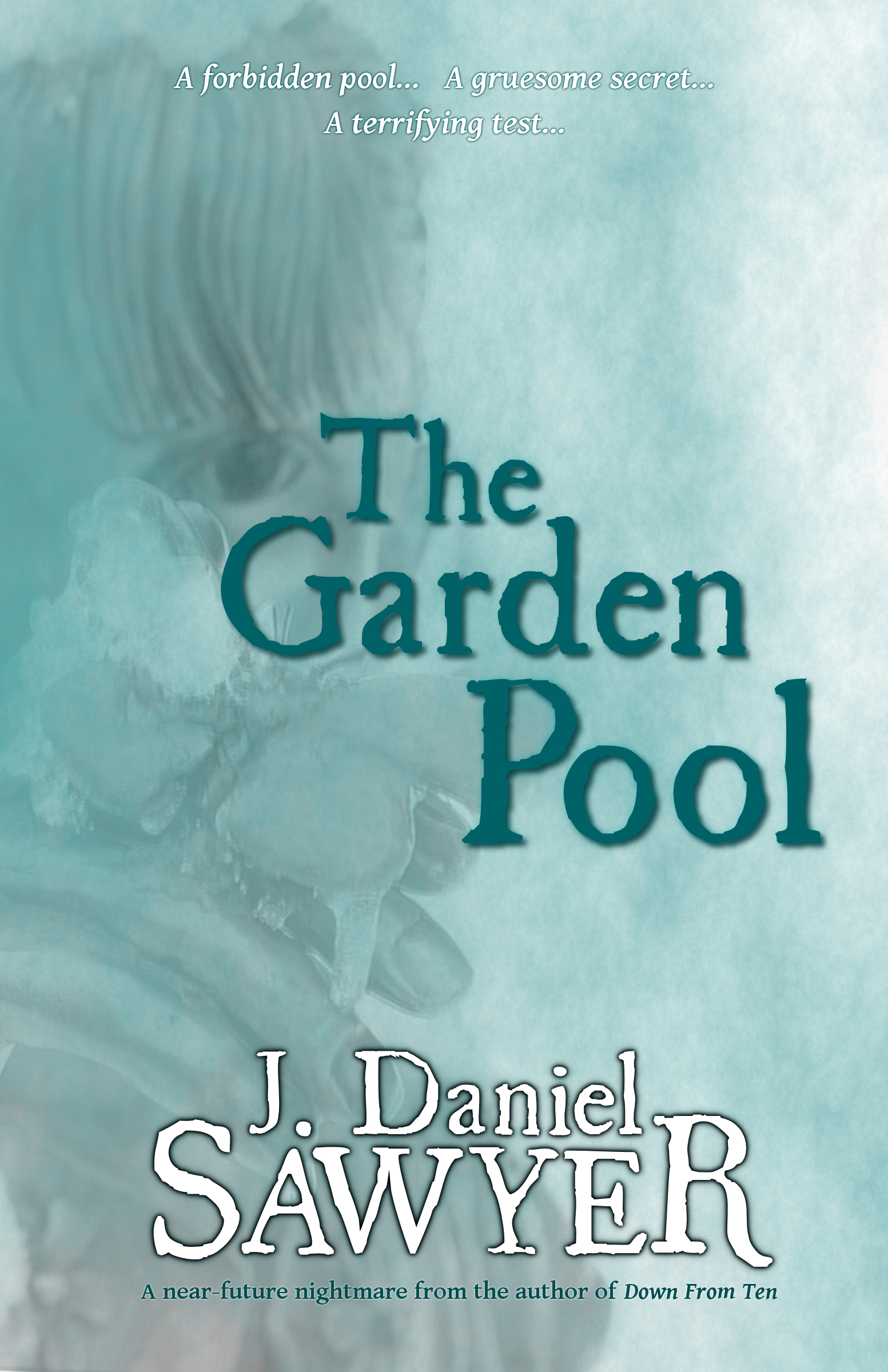 The Garden Pool cover